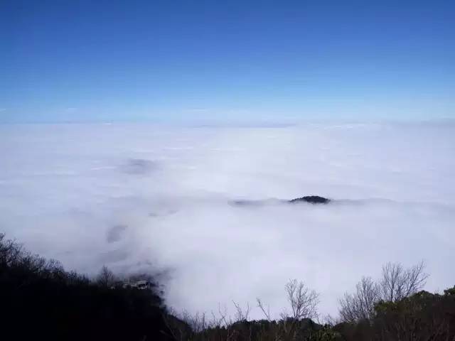 �����˵Ķ�ü�𶥣�˧���˵Ķ�ü������