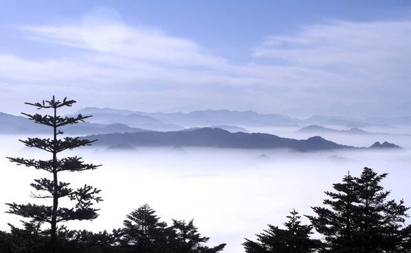 Ѱ�ҡ���ü�� ��������һ���ļ���