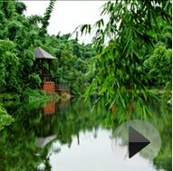 �������� ��̬�崨