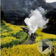 ����С�� ������顺�