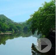 ʫ�黭�⡰С������