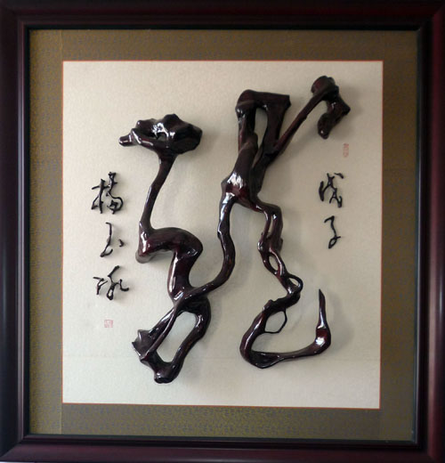 ��������