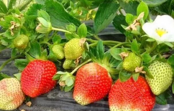 �������������������Ҳ����!