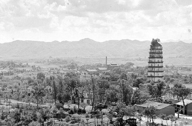 ���춼�����