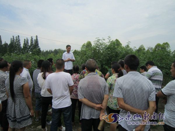 ���ʼ���ʼ�������ƶ�塰�ϵ��Ρ�