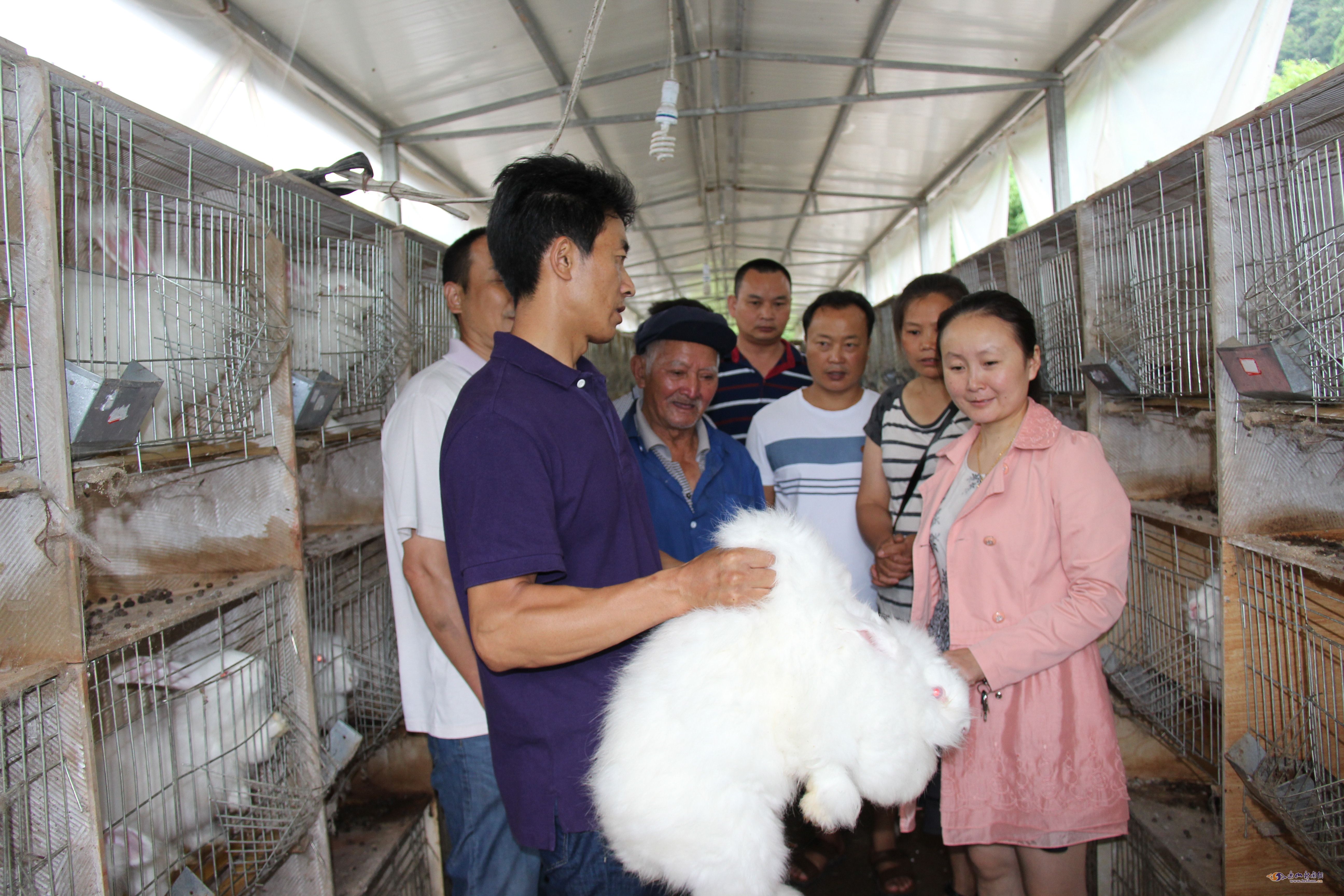 ���߹��ԱͶ��"��ѧһ��":�ھ�׼��ƶ��������