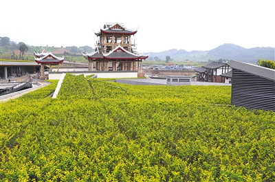 ��üɽ�Ź㳡�����ݶ��̻��깤