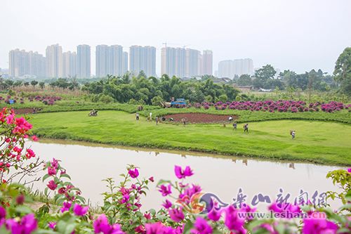 ������������������