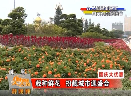 �����ʻ� ��������ӭʢ��