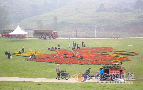 ��üɽ���ֽھ����ڼ� ��ֳ��ӽ�����