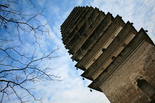 ��������Ʊ���