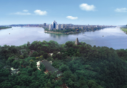 �����Զ����ɽ��