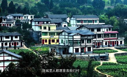 ������ȫ��ũҵ�ղ�����Ƭ