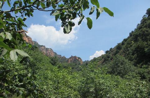 ��ɽ����41�������ȡ���ƶժñ��������������Щ��