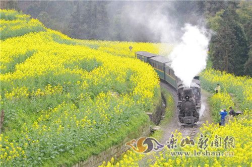 ��Ϊ������֮�á�һ·��ɫ