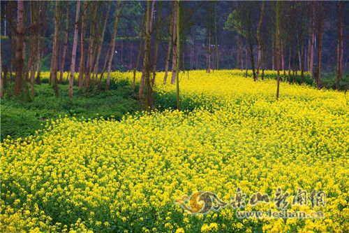 �����ڼ��ݡ��� ��ʫ�续��ü��