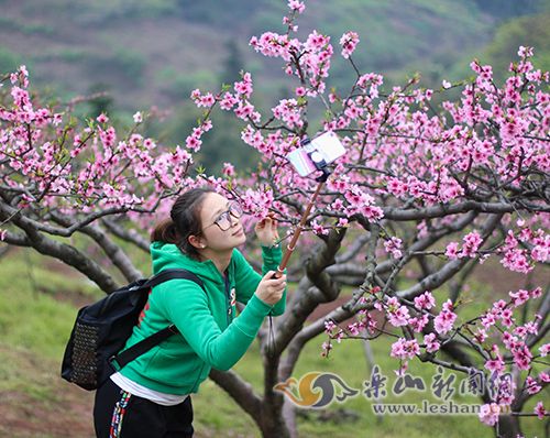 ����̤������ʱ �����һ�������