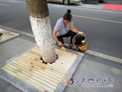 ԰�ֲ��ŶԱ���·�е������ؽ��и���