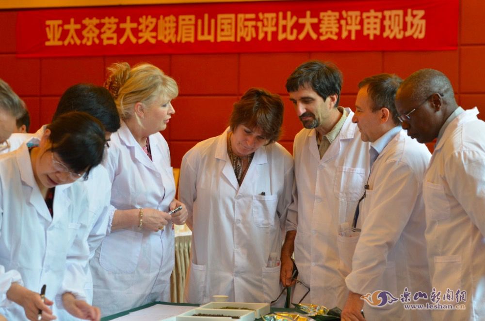 ����ר������������