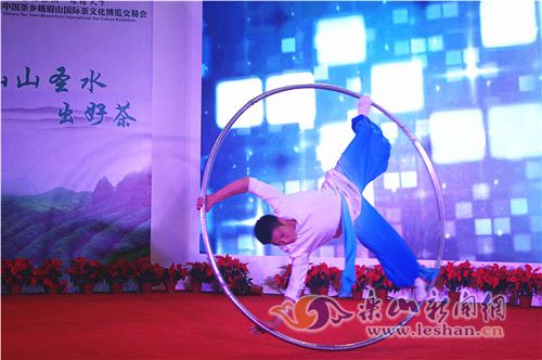 ��Ϊ�ص��Ӽ�����