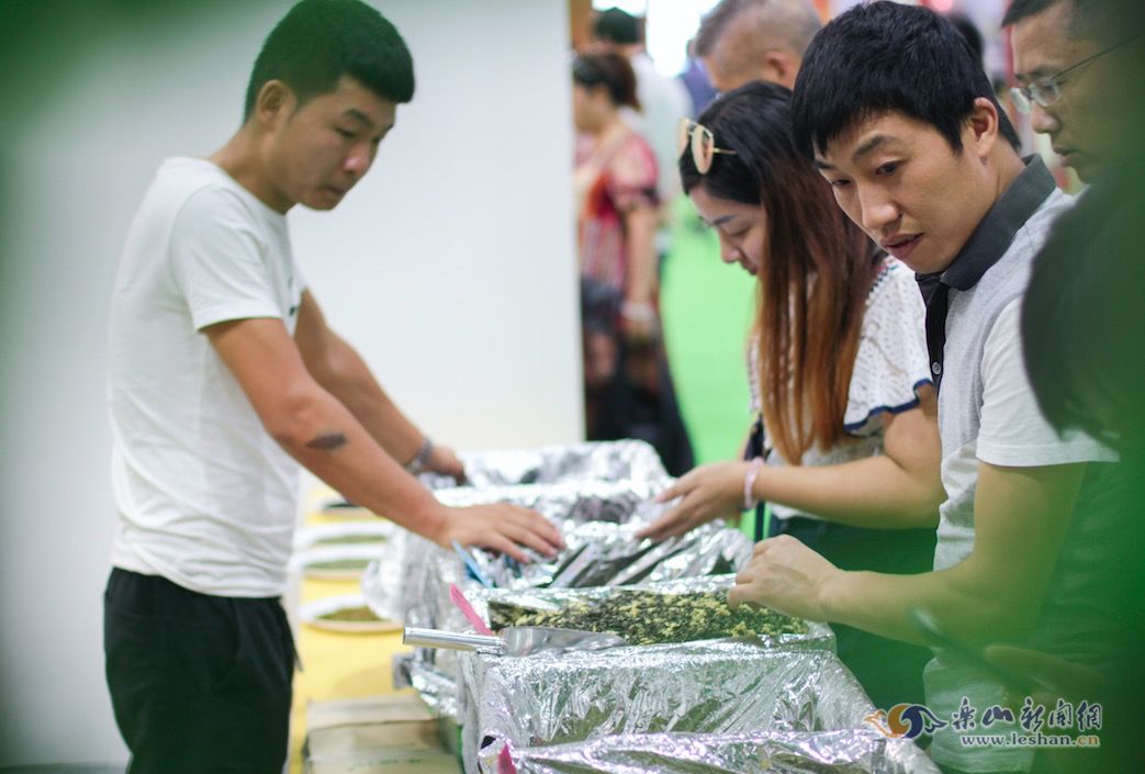 ����ѡ����Ҷ