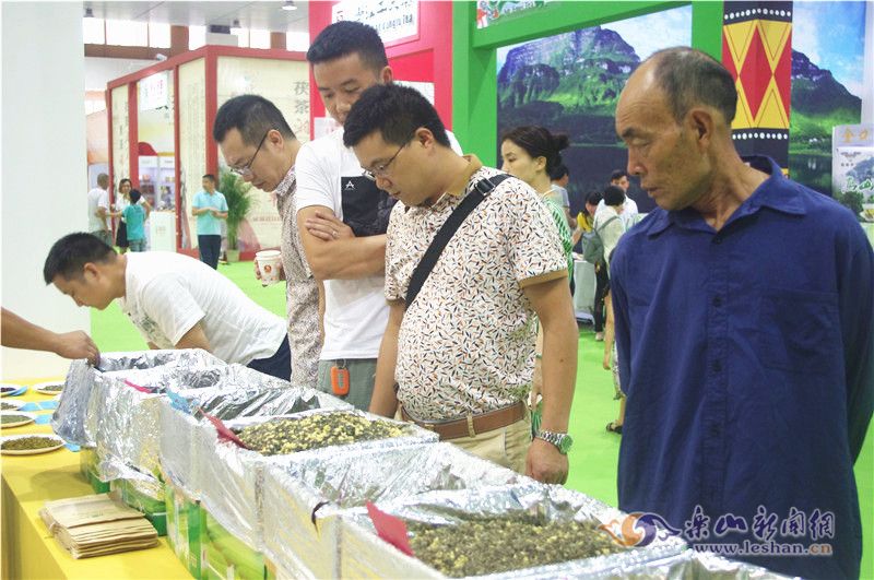 ����ѡ����Ҷ