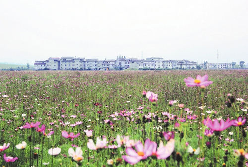 ��ũ��ֳ��壺�����ϡ����������