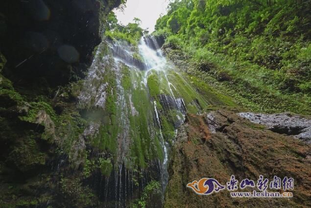 �������崨�������������������ɶ�