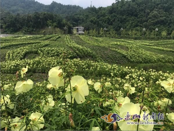 �崨�������������� �ʻ�ʢ�� ũ������