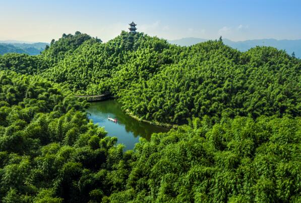 �������� ��̬�崨