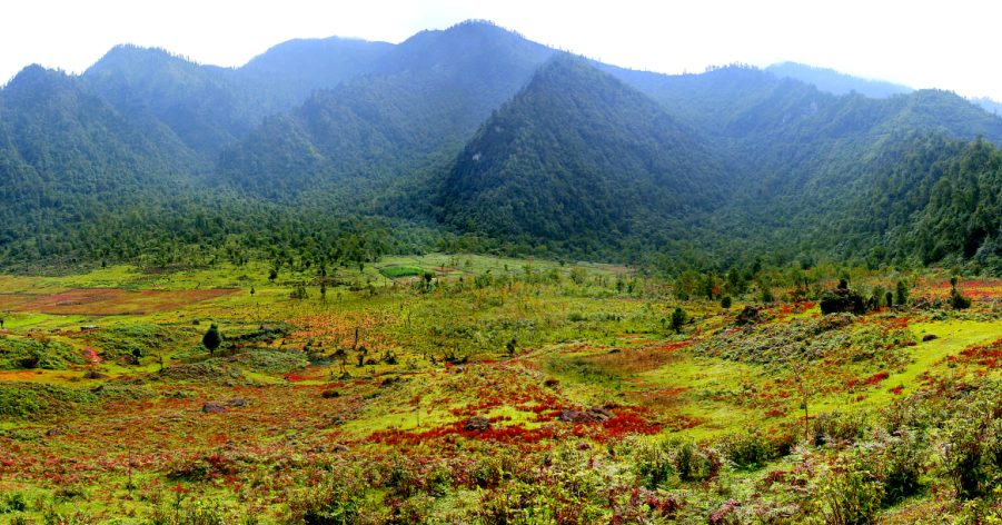 ����������� ��̬ɽˮ����