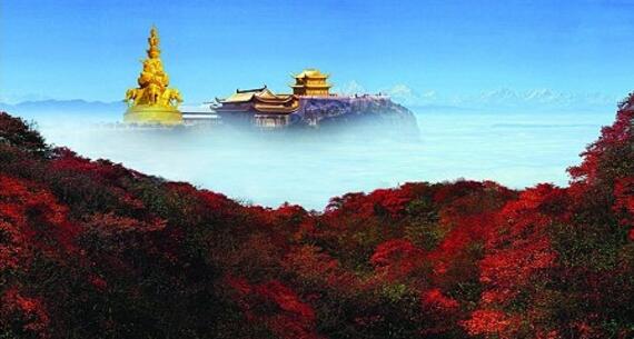 ������ü