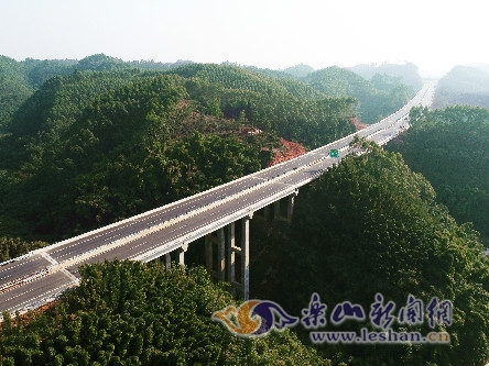 ��ɽ��ͨ���Ͷ��205��Ԫ