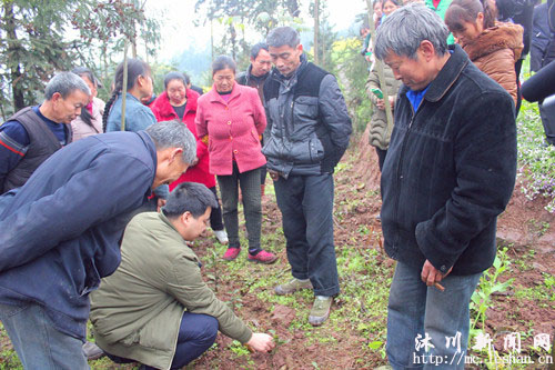 �崨�������á����ν̴����ֲ�