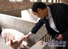 ����˾������� ��������һƬ��