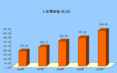 2006-2010�깤ҵ����ֵ