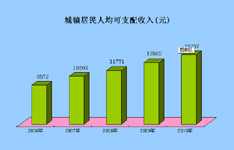 2006-2010����ɽ�г�������˾���֧������