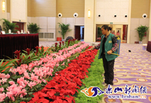 ԰�ֹ��������ʻ�