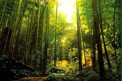 �������˷�⣨һ��