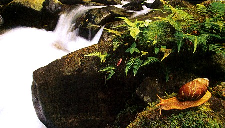 �������˷�⣨����