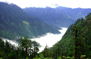 �������˷�⣨�ģ�