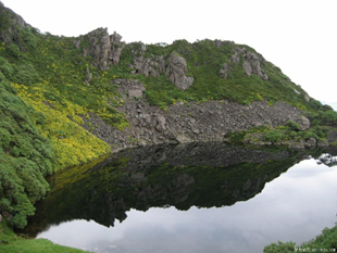 �������˷�⣨�ˣ�