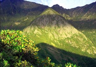 �������˷�⣨�ţ�