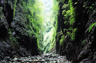 �������˷�⣨ʮ��