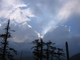 �������˷�⣨ʮһ��