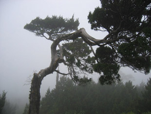 �������˷�⣨ʮ����