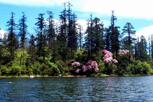 �������˷�⣨ʮ����