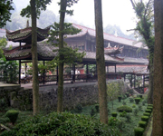 ����λ��:������λ�ڶ�üɽ´���뱨�������Լһ����������֮�С����ڣ�ȫɽ�����ᶼ�����ڷ����¾�ס��������Ϊ�й��ϴ�ı��������֮һ��      �� ������ʷ:�������Ƕ�üɽ������һ��������ʼ�����ƴ��������������Ľ�����˳����䣬��֮�����ؽ�����ʱ��ʮ�أ�Ϊȫɽ�������֮һ����ɽ�����Ի����콫�¶���Ϊ"������"������Ϊ��˵�����ж��л��������ǽ���"��ʤ��"����������������һ�����Ͽ����䣬����������ǰ�����ڽ��������������˷ϣ�Ҳ�������˷ϡ������л�����ͤ�����������������ͭ������һ��������5.8�ף���14�㣬��������4700����С���������Կ̡����Ͼ����ġ�����ͭ������ʱ����Զ�����θߴ�����쾫�������й�ͭ��֮� <��ϸ>