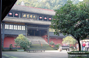 �����´��۱���