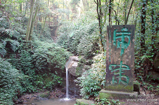 ��Х����